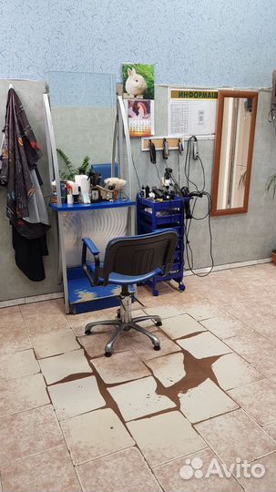 Продаётся готовый бизнес