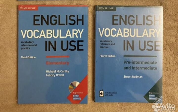 English vocabulary in use