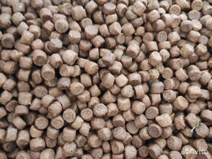 Корм и наполнитель для взрослых собак и кошек