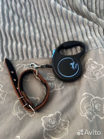 Поводок для собак 5 м, ошейник