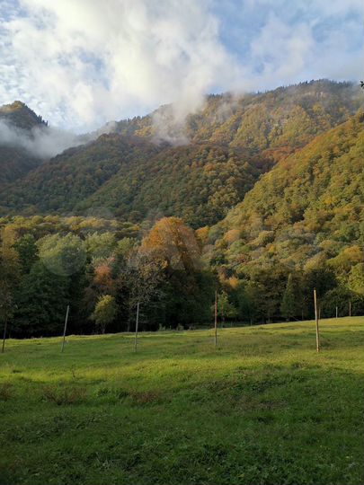 Участок 6,5 сот. (ИЖС)