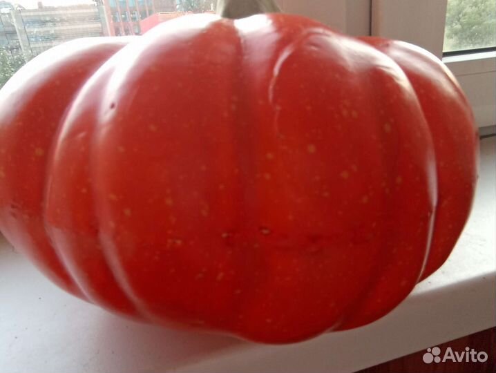 Тыква декоративная (муляж)