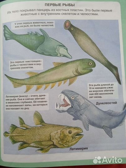 Энциклопедия тайны моря