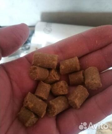 Премиум корм для собак