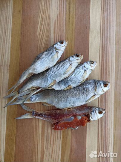 Вобла Каспийская