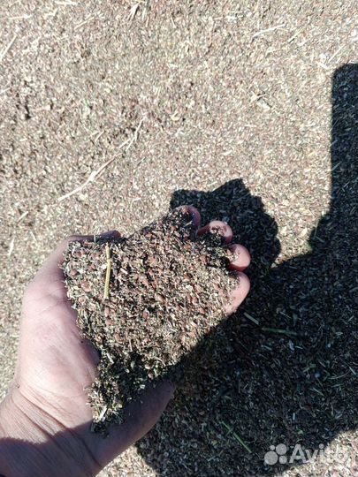 Зерно отходы