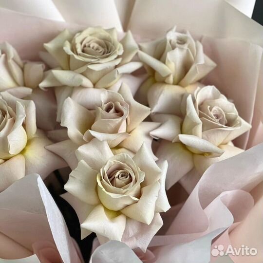 Букет Розы Menta 7