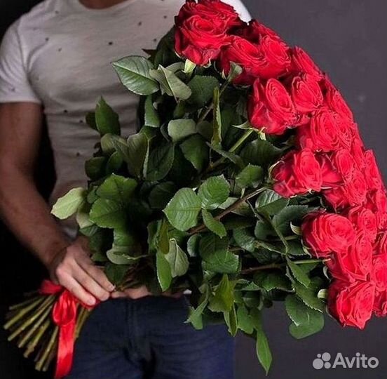 Высокие розы Гигантские розы 110