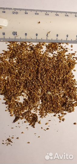 Подорожник (семена)