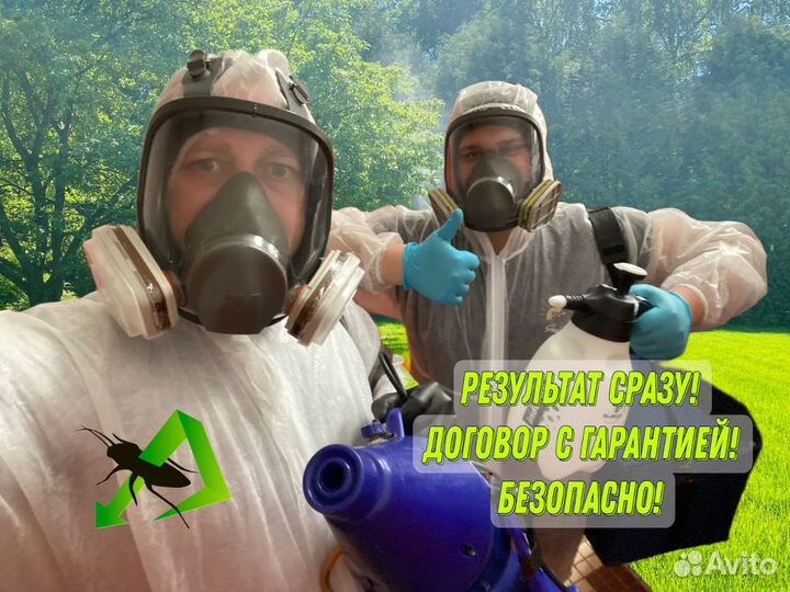 Уничтожение клопов, тараканов