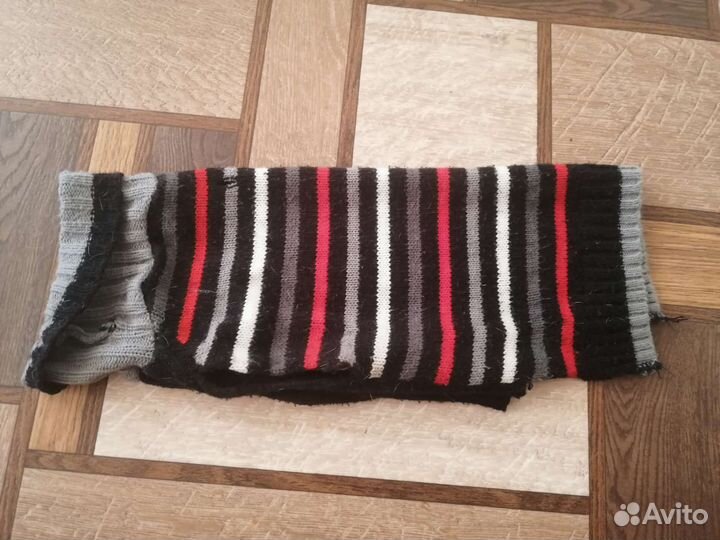 Шлейка, одежда для собаки