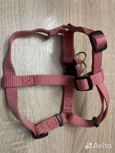 Шлейка и поводок с ошейником для собаки