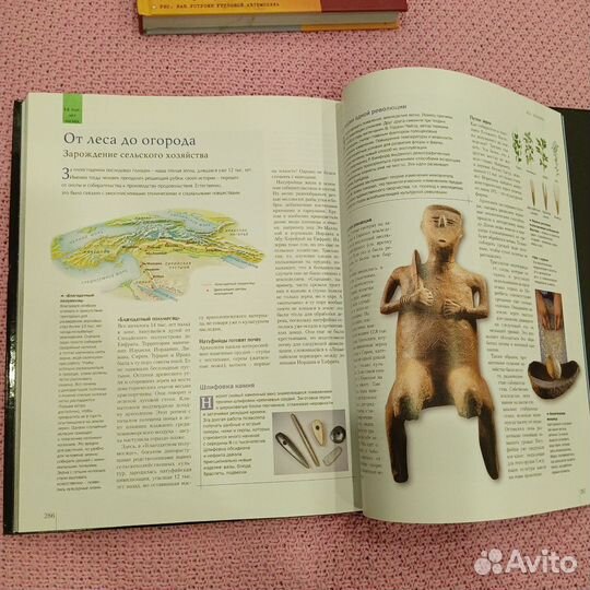 Иллюстрированный атлас эволюции