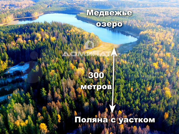 Участок 12,5 сот. (СНТ, ДНП)