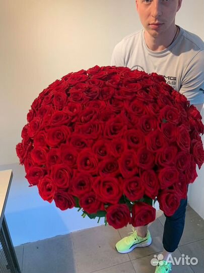 Свежие розы. 25 роз. 51 роза