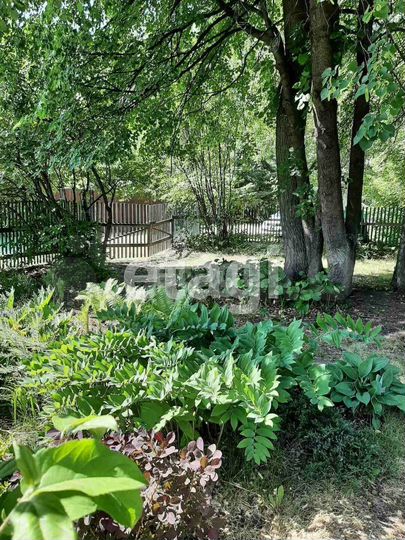 Участок 5,4 сот. (СНТ, ДНП)