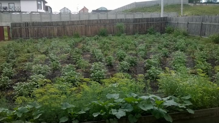 Дом 71 м² на участке 12 сот.