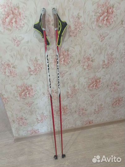 Лыжные палки one way
