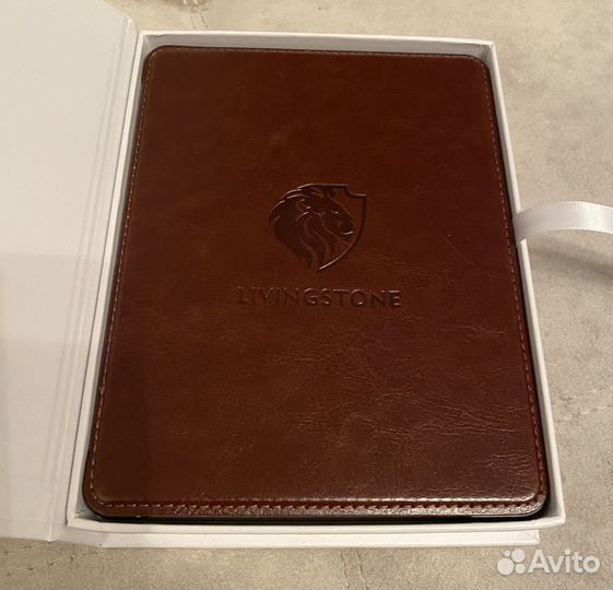 Электронная книга Onyx Boox Livingstone 3