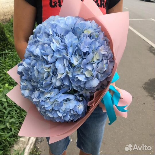 Букет 540 Гортензия голубая 31 шт