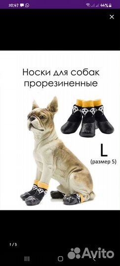 Носки для собак