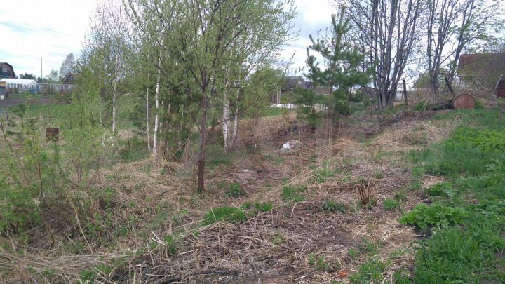 Участок 6 сот. (СНТ, ДНП)