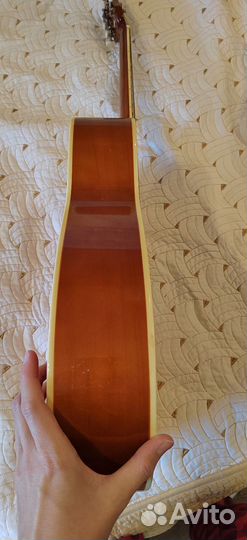 Гитара Colombo LF-3800 N