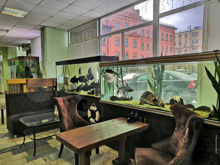 Офис, 17 м² всё включено