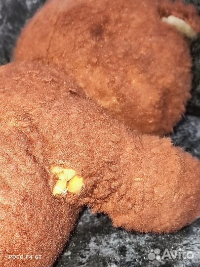 Плюшевый медведь СССР винтаж