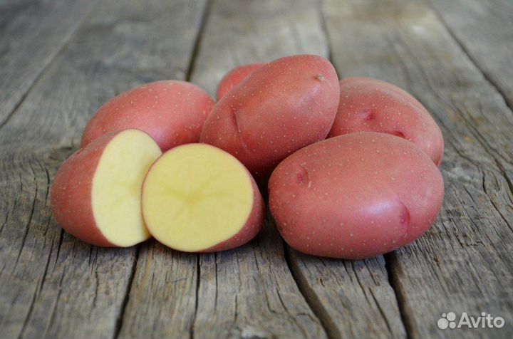Продукты питания