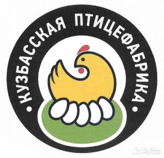 Начальник цеха по переработке яйца