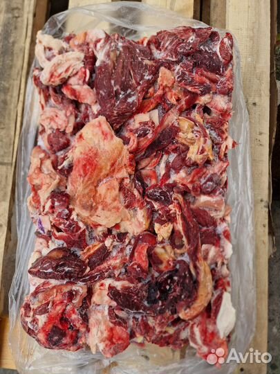 Корм для собак, мясо для собак