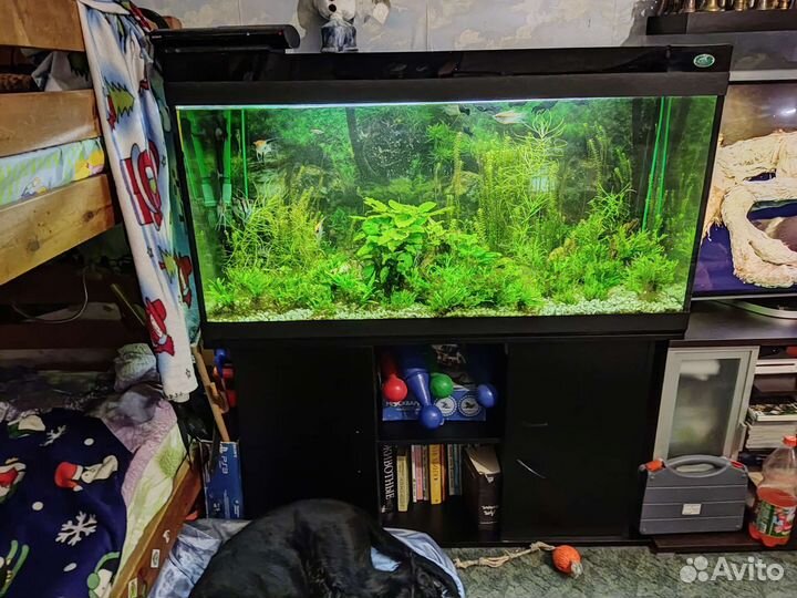 Аквариум с рыбками