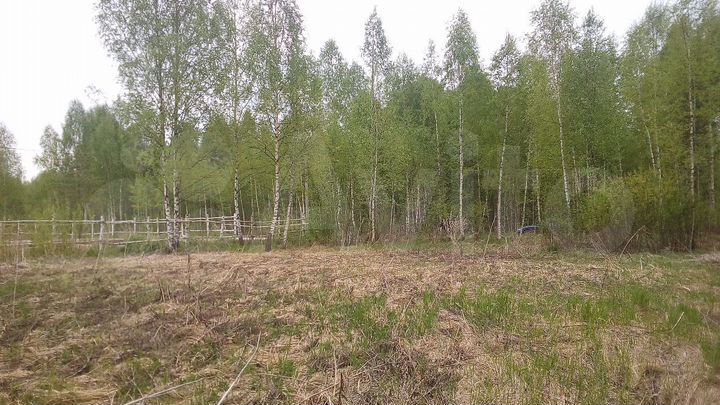 Участок 20 сот. (СНТ, ДНП)