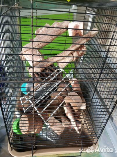 Отдам самодельную клетку для белок дегу