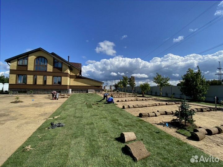 Быстрое озеленение участка рулонным газоном