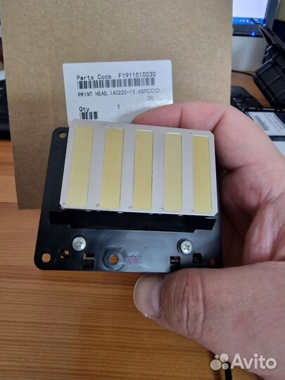 Печатающие головки Epson Fa10030, F191151 DX6