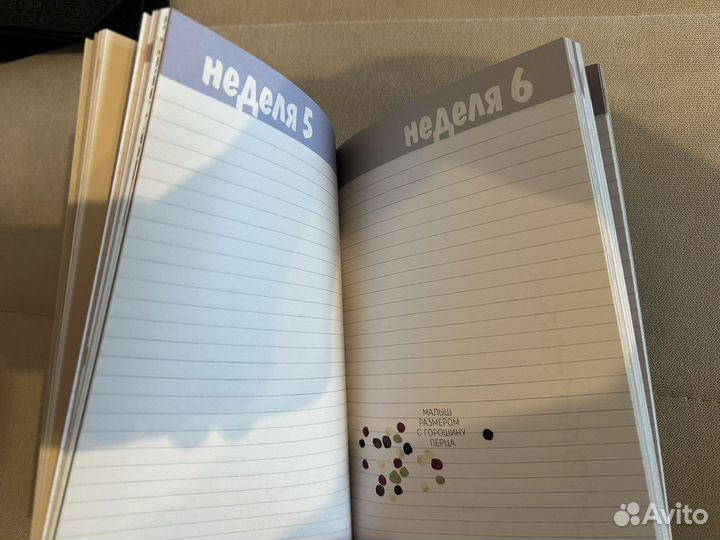 Новый дневник для беременных