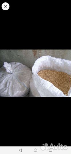 Ячмень сухой в мешках и пшеница