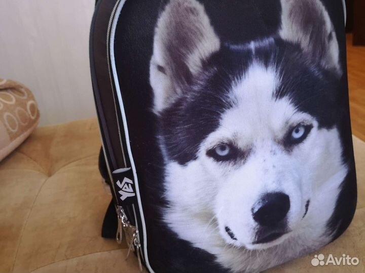 Ранец школьный с хаски
