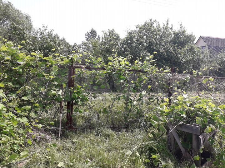 Участок 8 сот. (СНТ, ДНП)