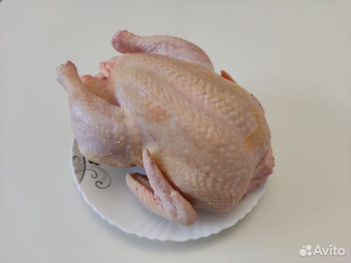 Домашнее мясо кур бройлера