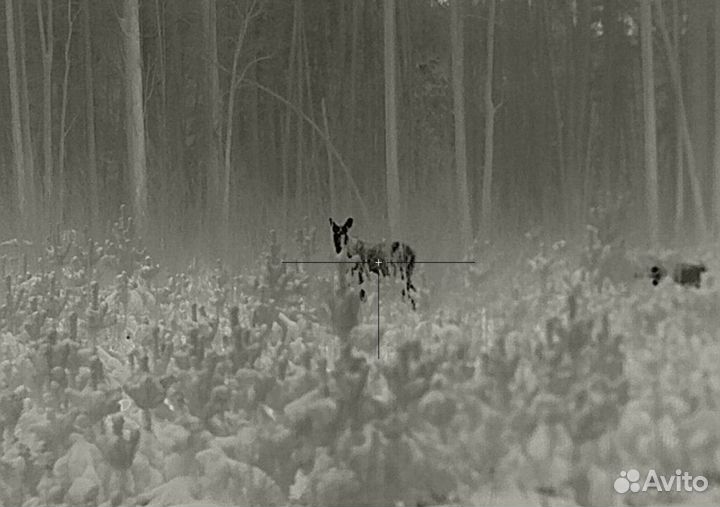 Охотничий тур