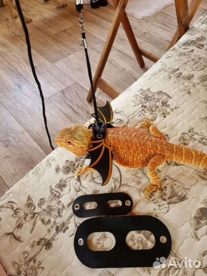 Шлейка для кошек и собак