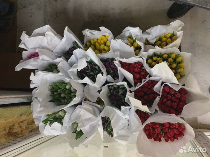 Тюльпаны предзаказ