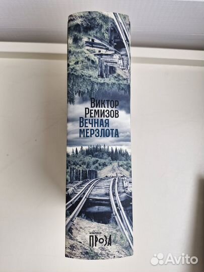 Виктор Ремизов 