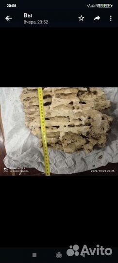 Песчаник для аквариума