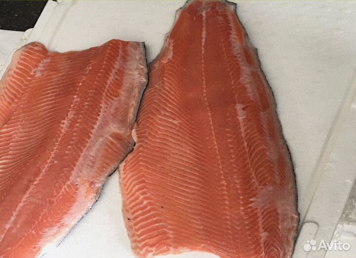 Форель камбала путассу хек опт Тула