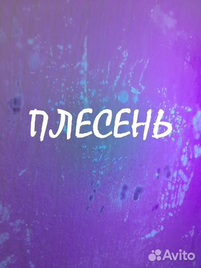 Приемка квартиры и дома. Оценка для банка