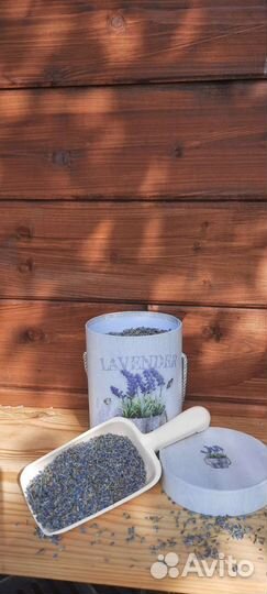 Сухие цветы лаванды. Россыпь. Опт и розница -2023г